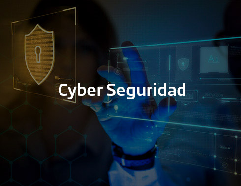 Cyber Seguridad